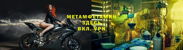 прущие грибы Дмитров