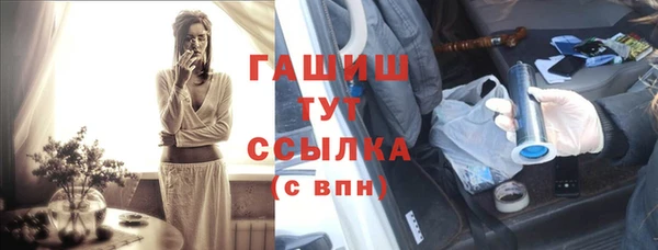хмурый Алексин