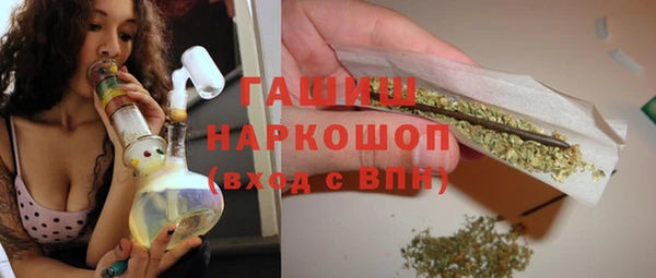 хмурый Алексин