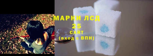 хмурый Алзамай