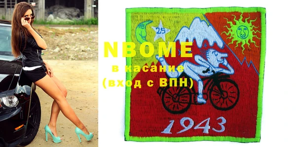 хмурый Алексин