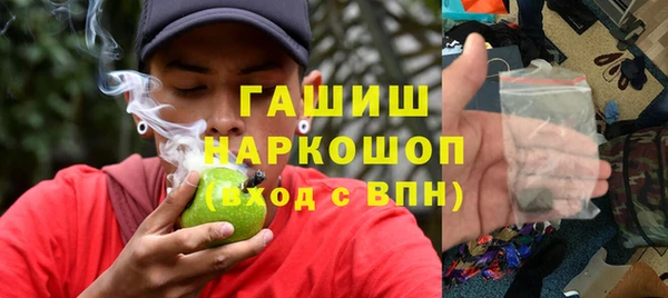 хмурый Алзамай