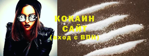 хмурый Алексин