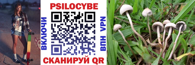 даркнет сайт  Дудинка  Галлюциногенные грибы Cubensis 